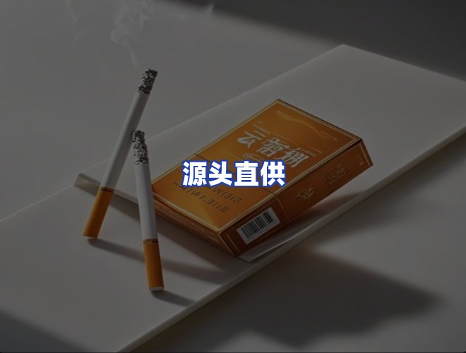 专业团队